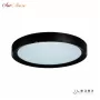 WL X8839-650R BK