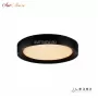 WL X8839-500R BK