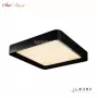 WL X8839-500X500 BK