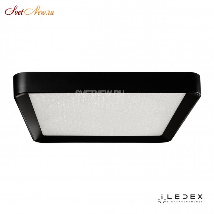 WL X8839-650X650 BK