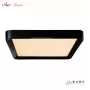 WL X8839-650X650 BK