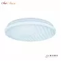 ZD5106 SW-60W WH