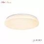 ZD5106 W-60W WH