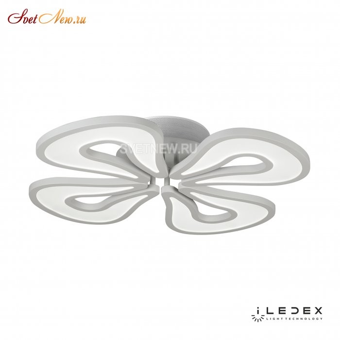 WL X8855-4 WH