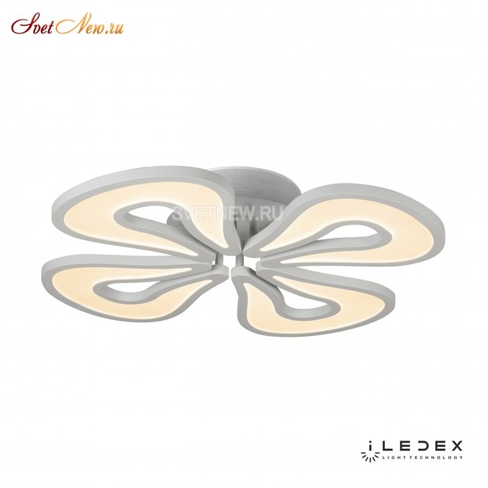 WL X8855-4 WH