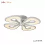 WL X8855-4 WH