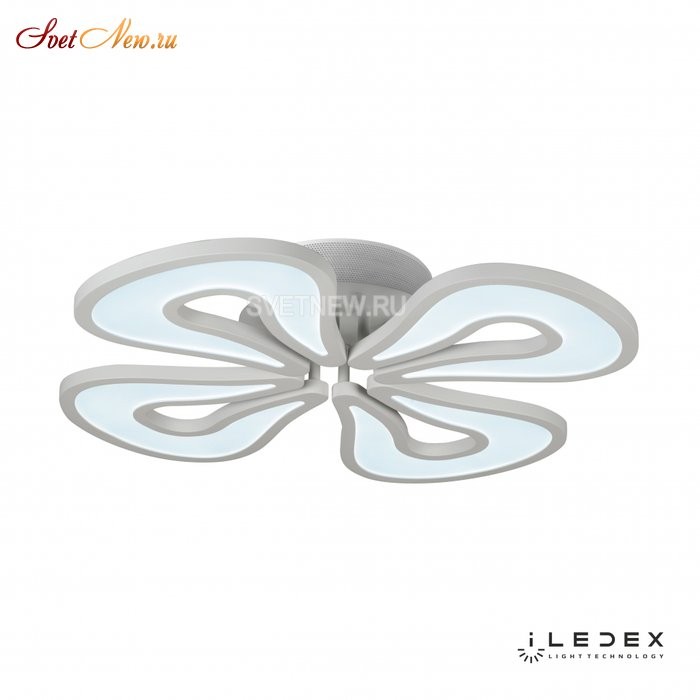 WL X8855-4 WH
