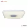 60W Square opaque entire
