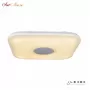 60W Square opaque entire