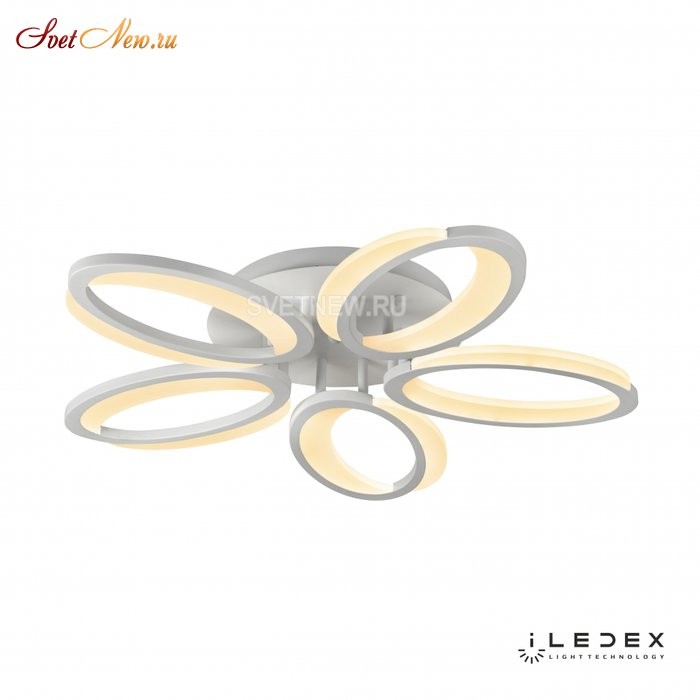 X8878-5 WH