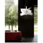 Big Bang White