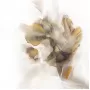 89VOR-AQUARELLE6