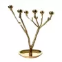 Twiggy S gold