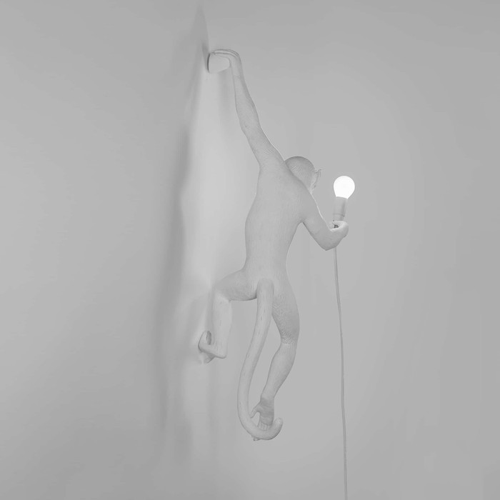 Monkey Lamp Outdoor Hanging Left
