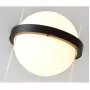 10228P/1 black