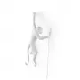 Monkey Lamp Outdoor Hanging Left