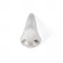 Memorabilia Mvsevm Nose