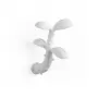 Sprout Medium