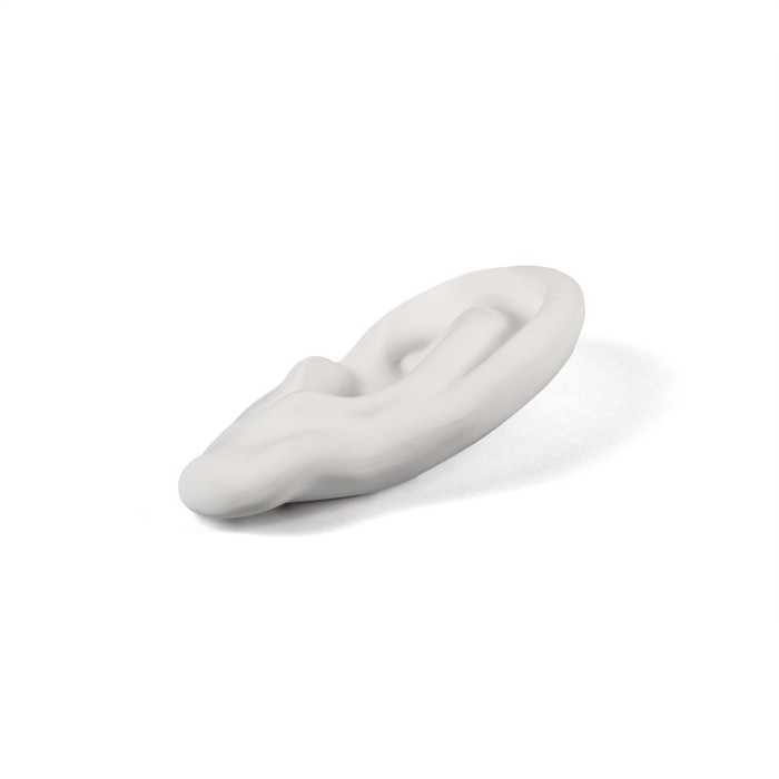 Memorabilia Mvsevm Ear