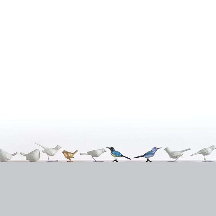 Sparrows gold