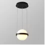 10228P/1 black