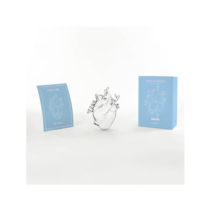 Love in Bloom 255384