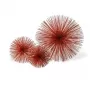 Prickle coral S