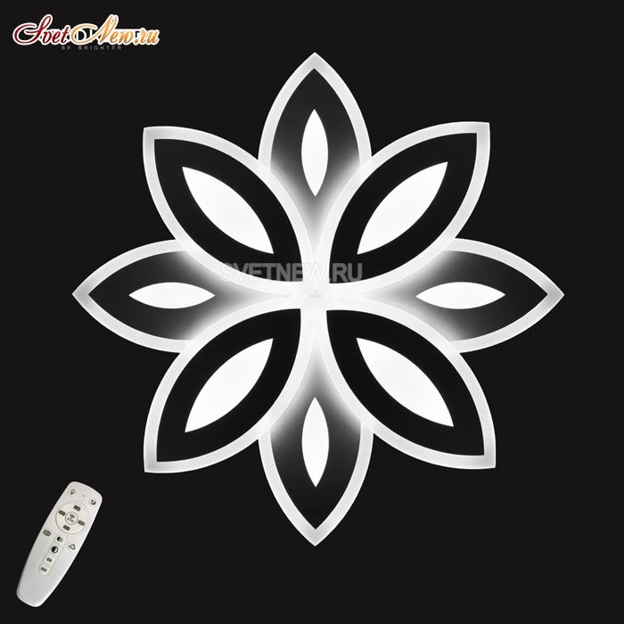 1898/8 White