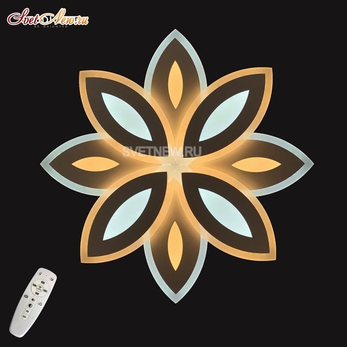 1898/8 White