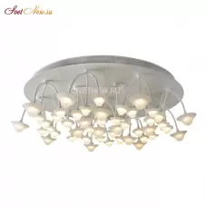 C50068/16Y WH