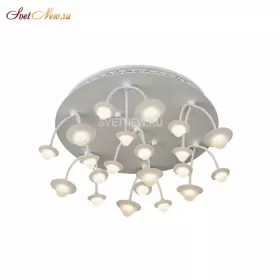 C50068/7Y WH
