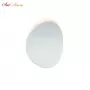 ZD8079-6W WH