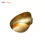 ZD8151-5W Gold