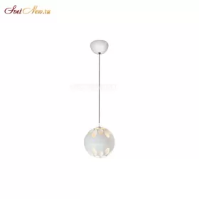 P1009-1 WH