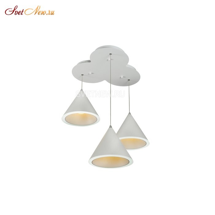 WL 8858-3B WH