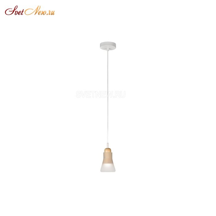 AP9006-1A WH
