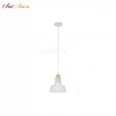 AP9006-1B WH