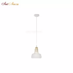 AP9006-1B WH