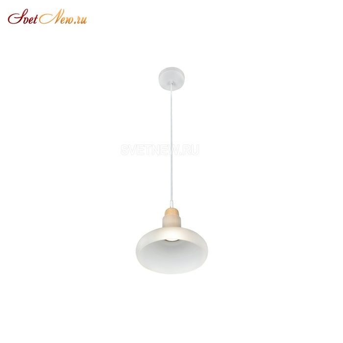 AP9006-1C WH