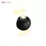 ZD8168-6W BK