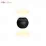 ZD8168-6W BK