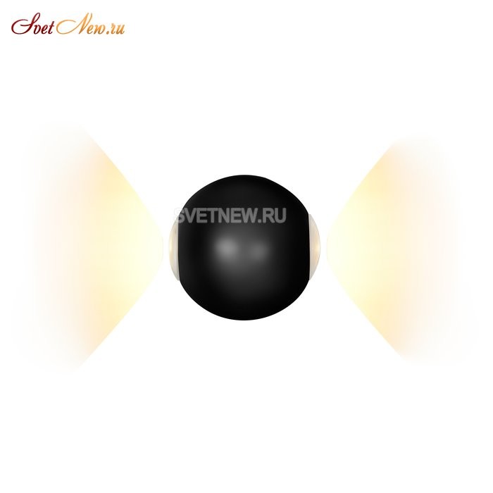 ZD8168-6W BK