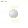 ZD8168-6W WH