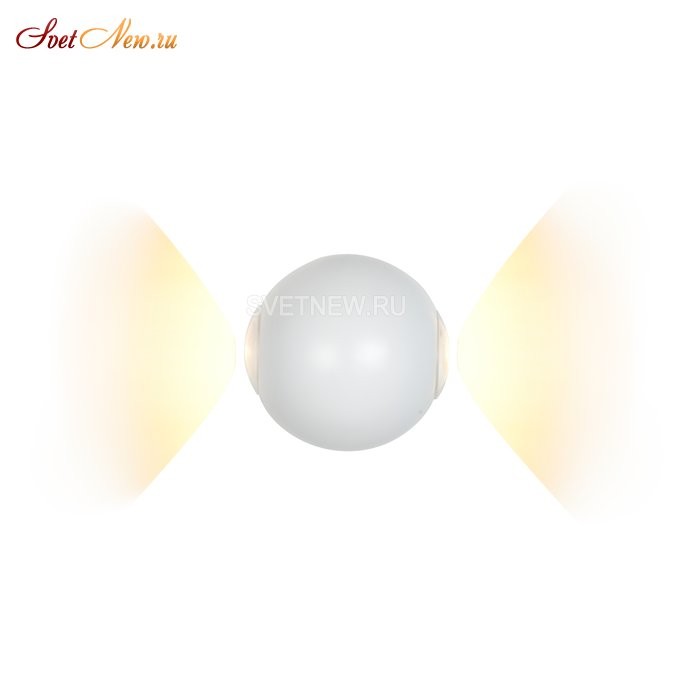 ZD8168-6W WH