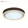 B6233-91W/520 WH