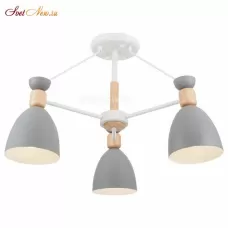 FR5033CL-03W