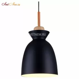 TL1202H-01BK