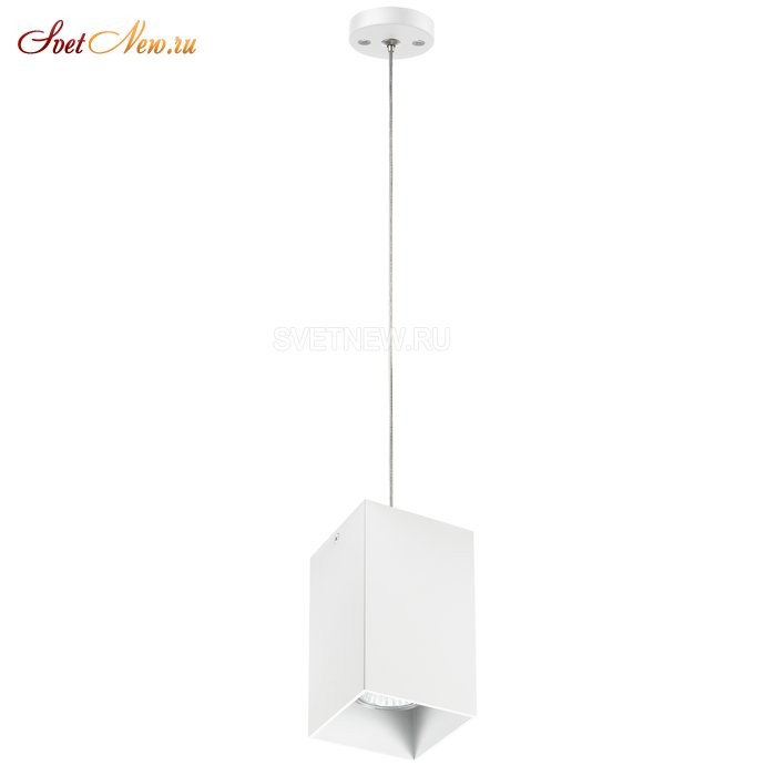 RP6586