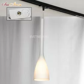 LSN-0106-01-TAW