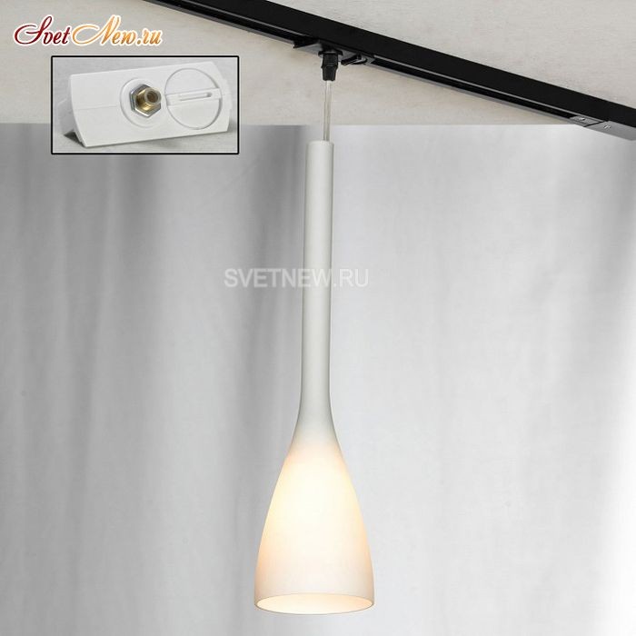LSN-0106-01-TAW